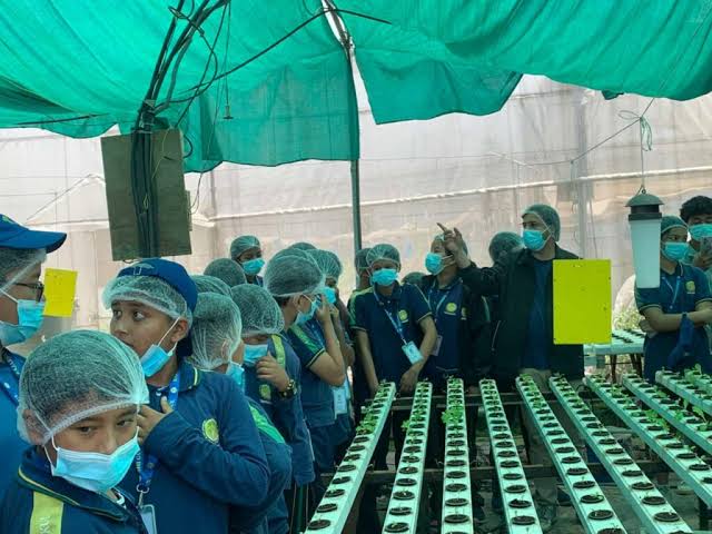Soil-less, Waste-less, Limitless: A Day at Hydroponics Nepal